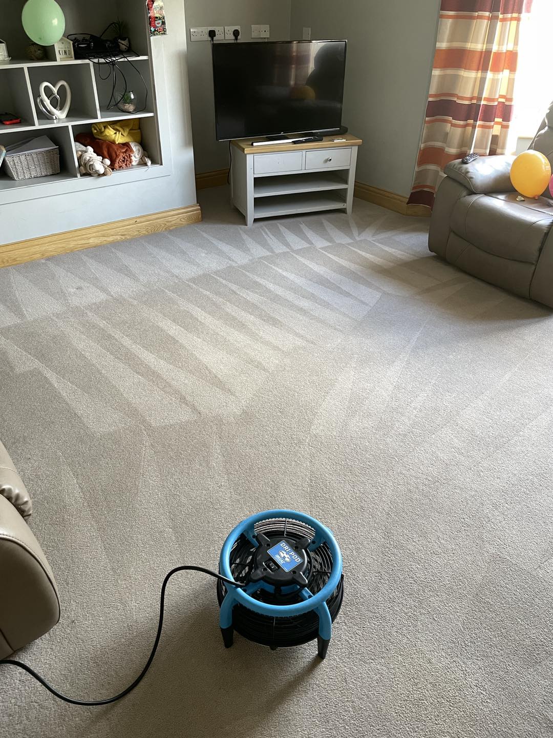 Finished deep clean on a carpet